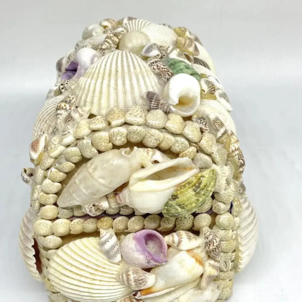 Sea Shell Trinket Box with Diorama Inside Lid Fish Starfish Abalone Sand Vintage